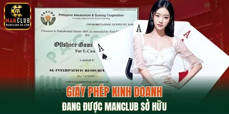 Tổng hợp giấy phép kinh doanh hiện đang được thương hiệu sở hữu